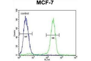 Flow cytometric analysis of MCF-7 cells using Otopetrin-3 Antibody (C-term) Cat. (OTOP3 antibody  (C-Term))