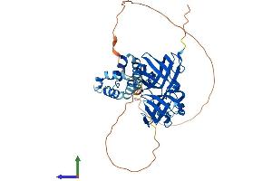 AlphaFold protein structure predicition of Mouse Recombinant Ifi205a Protein, UniprotID Q8CGE8 (Ifi205 Protein (AA 1-404) (His tag))