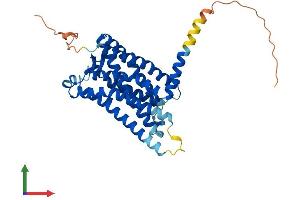 Protein Structure (PS) image for Melatonin Receptor 1A (MTNR1A) (AA 1-350) protein (His tag) (ABIN7549552)