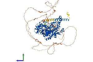 AlphaFold protein structure predicition of Mouse Recombinant Galnt5 Protein, UniprotID Q8C102