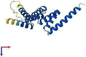 Protein Structure (PS) image for Tetratricopeptide Repeat Domain 32 (TTC32) (AA 1-151) protein (His tag) (ABIN7544935)