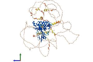 AlphaFold protein structure predicition of Mouse Recombinant Rusc1 Protein, UniprotID Q8BG26