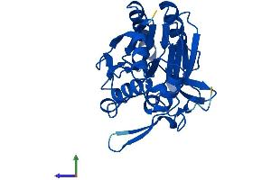 Protein Structure (PS) image for Nitrilase Family, Member 2 (NIT2) (AA 1-276) protein (His tag) (ABIN7561522)