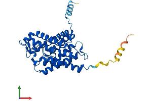 AlphaFold protein structure predicition of Human Recombinant AQP3 Protein, UniprotID Q92482