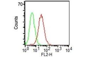 Flow Cytometry of KG-1 cells using CD34 Monoclonal Antibody (HPCA1/1171) (red) & isotype control (green). (CD34 antibody)