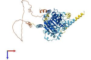 AlphaFold protein structure predicition of Human Recombinant DDX52 Protein, UniprotID Q9Y2R4 (DDX52 Protein (AA 1-599) (His tag))