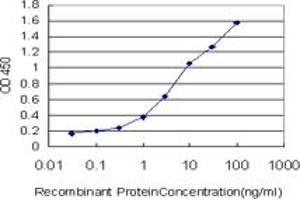 Detection limit for recombinant GST tagged ALPL is approximately 0. (ALPL antibody  (AA 91-200))