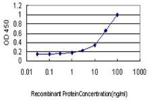 Detection limit for recombinant GST tagged MAPK9 is approximately 3ng/ml as a capture antibody. (JNK2 antibody  (AA 1-424))