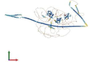 AlphaFold protein structure predicition of Human Recombinant CUX1 Protein, UniprotID P39880
