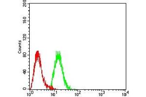 Flow cytometric analysis of Hela cells using MTA1 mouse mAb (green) and negative control (red). (MTA1 antibody  (AA 541-715))