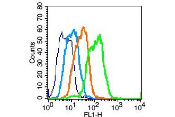 GPR125 antibody  (AA 422-530)