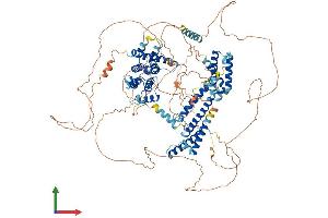 AlphaFold protein structure predicition of Human Recombinant FAM13A Protein, UniprotID O94988 (FAM13A Protein (AA 1-1023) (His tag))