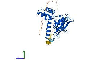 AlphaFold protein structure predicition of Mouse Recombinant Socs1 Protein, UniprotID O35716