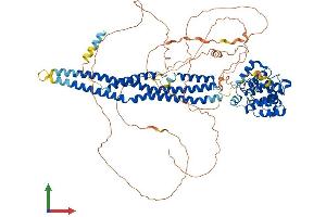 AlphaFold protein structure predicition of Human Recombinant ARHGAP44 Protein, UniprotID Q17R89