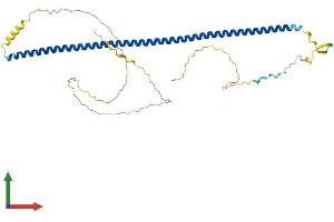 AlphaFold protein structure predicition of Mouse Recombinant Ccdc34 Protein, UniprotID Q3UI66 (CCDC34 Protein (AA 1-367) (His tag))