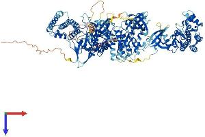JAK1 Protein (AA 1-1154) (His tag)