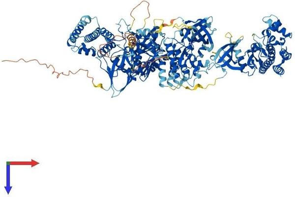 JAK1 Protein (AA 1-1154) (His tag)