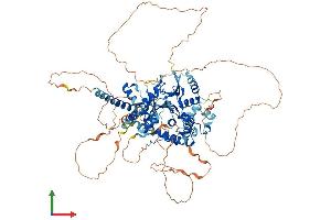 AlphaFold protein structure predicition of Mouse Recombinant Otud7b Protein, UniprotID B2RUR8 (OTUD7B Protein (AA 1-840) (His tag))