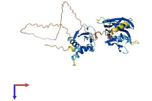 AlphaFold protein structure predicition of Mouse Recombinant Irf9 Protein, UniprotID Q61179 (IRF9 Protein (AA 1-399) (His tag))