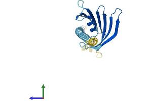 AlphaFold protein structure predicition of Mouse Recombinant Prelid3b Protein, UniprotID Q9CYY7