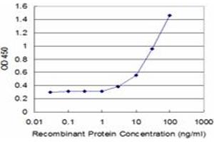 Detection limit for recombinant GST tagged CX3CR1 is approximately 3ng/ml as a capture antibody. (CX3CR1 antibody  (AA 1-36))
