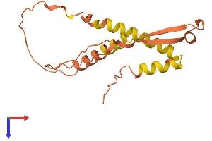 Family with Sequence Similarity 182, Member A (FAM182A) (AA 1-154) protein (His tag)