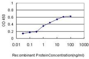 Detection limit for recombinant GST tagged HOXC4 is approximately 0. (HOXC4 antibody  (AA 160-264))
