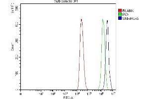 anti-SWI/SNF Related, Matrix Associated, Actin Dependent Regulator of Chromatin, Subfamily A, Member 5 (SMARCA5) (AA 54-735) antibody