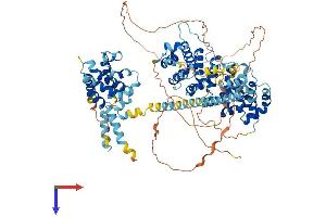 AlphaFold protein structure predicition of Mouse Recombinant Armc9 Protein, UniprotID Q9D2I5 (ARMC9 Protein (AA 1-817) (His tag))