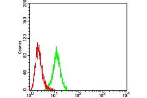 Flow cytometric analysis of Hela cells using OX40 mouse mAb (green) and negative control (red). (TNFRSF4 antibody  (AA 29-214))