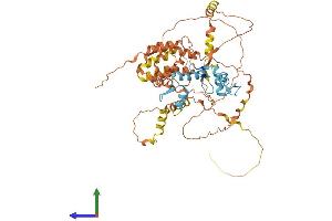 AlphaFold protein structure predicition of Human Recombinant ZBTB7B Protein, UniprotID O15156 (ZBTB7B Protein (AA 1-539) (His tag))