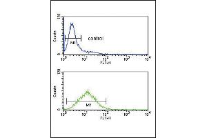 TPT1 Antibody (Center) (ABIN652444 and ABIN2842301) flow cytometric analysis of Jurkat cells (bottom histogram) compared to a negative control cell (top histogram). (TPT1 antibody  (AA 85-113))