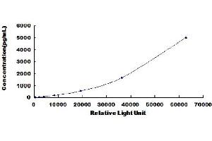 ELISA image for Brain Natriuretic Peptide (BNP) CLIA Kit (ABIN492036)