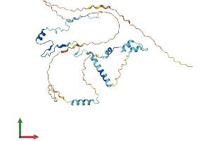 Protein Structure (PS) image for PIN2/TERF1 Interacting, Telomerase Inhibitor 1 (PINX1) (AA 1-328) protein (His tag) (ABIN7550736)