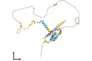 AlphaFold protein structure predicition of Human Recombinant NDFIP2 Protein, UniprotID Q9NV92