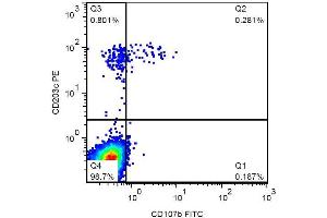 Surface staining of IgE-stimulated human peripheral blood with anti-CD107b (H4B4) FITC. (LAMP2 antibody  (FITC))