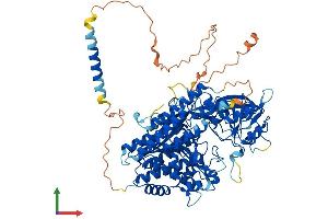 Protein Structure (PS) image for Transferrin Receptor 2 (TFR2) (AA 1-801) protein (His tag) (ABIN7555766)