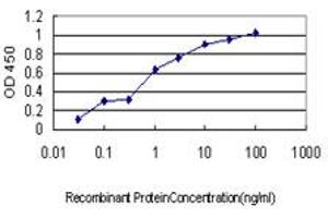 Detection limit for recombinant GST tagged TOMM34 is approximately 0. (TOMM34 antibody  (AA 1-309))