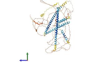 AlphaFold protein structure predicition of Mouse Recombinant Ccdc15 Protein, UniprotID Q8C9M2