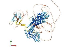 AlphaFold protein structure predicition of Mouse Recombinant Radil Protein, UniprotID Q69Z89 (Radil Protein (AA 1-1099) (His tag))