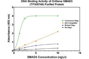 Bioactivity measured with Activity Assay