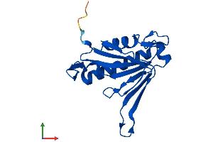 AlphaFold protein structure predicition of Human Recombinant DTD2 Protein, UniprotID Q96FN9
