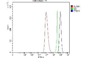 Flow Cytometry analysis of HEL cells using anti-Parathyroid Hormone Receptor 1/PTH1R antibody (ABIN7599639). (PTH1R antibody  (AA 102-446))
