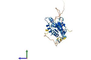 AlphaFold protein structure predicition of Mouse Recombinant Elf5 Protein, UniprotID Q8VDK3