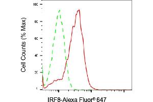 Flow cytometric analysis of IRF8 expression in Raji cells using IRF8 antibody (ABIN7799089), 1:2,000).