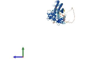 AlphaFold protein structure predicition of Mouse Recombinant Taok3 Protein, UniprotID Q8BYC6