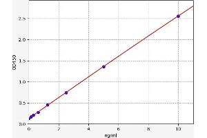 Typical standard curve (RASD1 ELISA Kit)