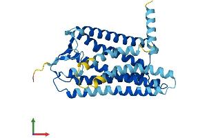AlphaFold protein structure predicition of Human Recombinant OR10G9 Protein, UniprotID Q8NGN4 (OR10G9 Protein (AA 1-311) (His tag))