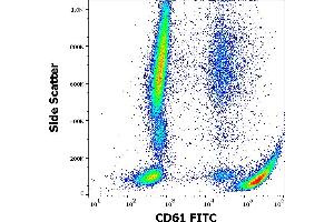 Flow cytometry surface staining pattern of human peripheral whole blood stained using anti-human CD61 (VIPL2) FITC antibody (4 μL reagent / 100 μL of peripheral whole blood). (Integrin beta 3 antibody  (FITC))