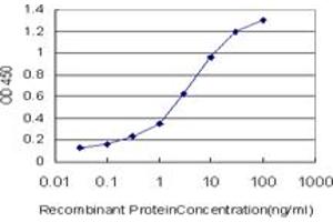 Detection limit for recombinant GST tagged MRRF is approximately 0. (MRRF antibody  (AA 163-262))